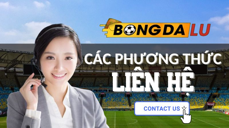 cac-phuong-thuc-lien-he-bongdalu-com-pho-bien